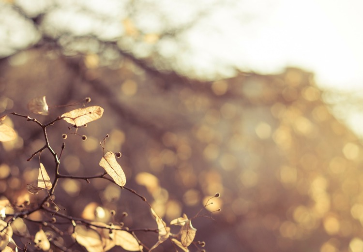 Background Image - Awards and competitions
