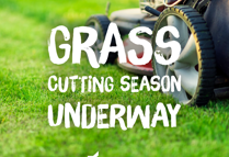 Grass Cutting 2